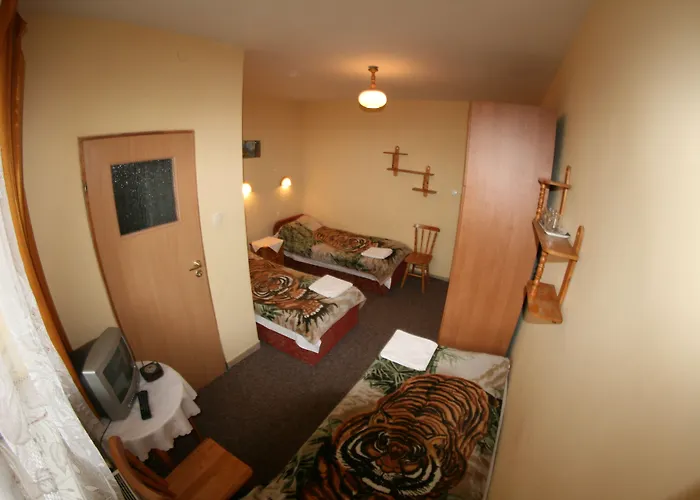 Hotel Daisy Budget